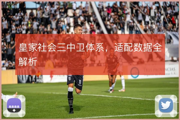 皇家社会三中卫体系，适配数据全解析