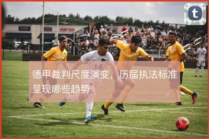 德甲裁判尺度演变，历届执法标准呈现哪些趋势
